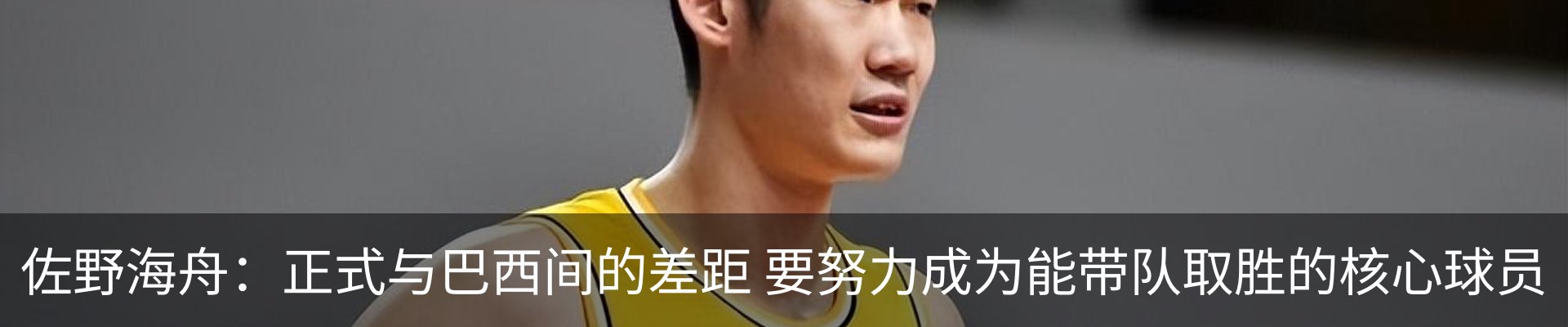 新闻动态