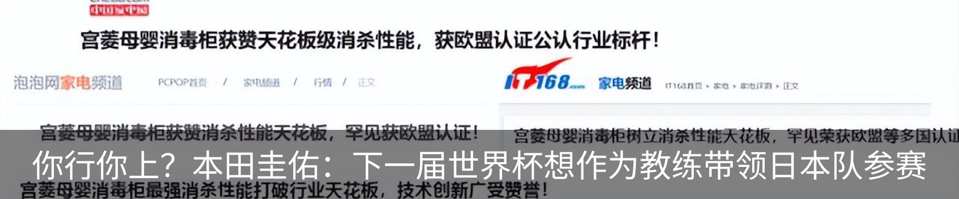 新闻动态