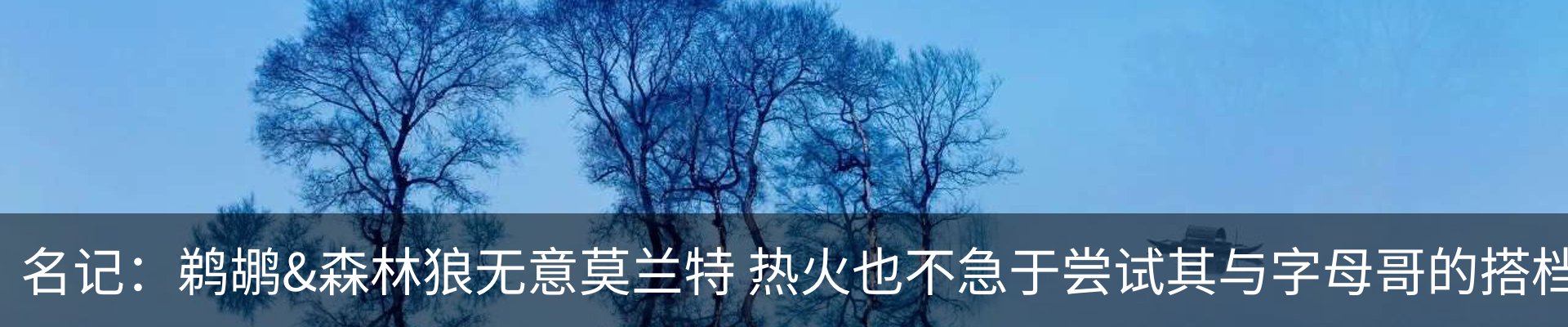 新闻动态