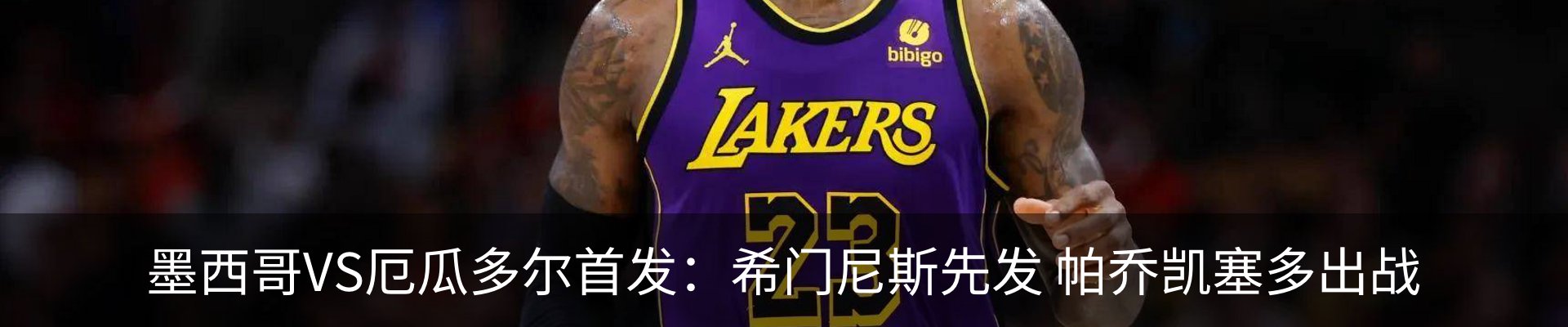 新闻动态