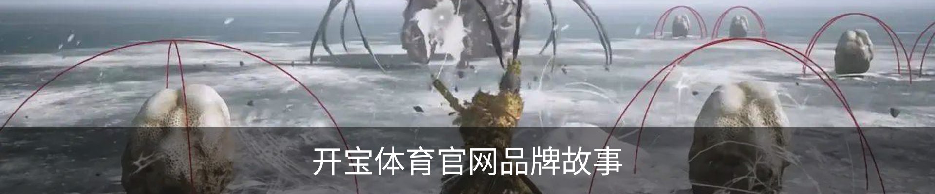 开宝体育官网品牌故事