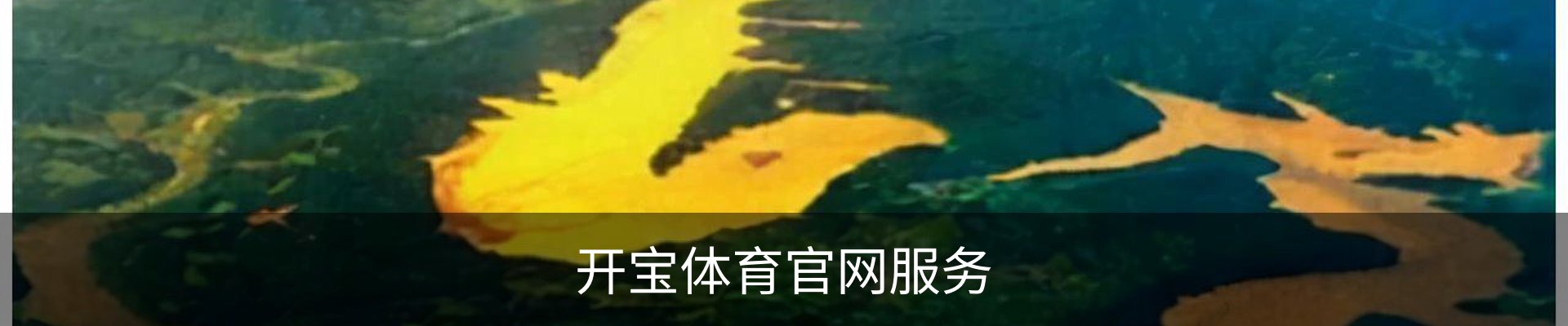 开宝体育官网服务