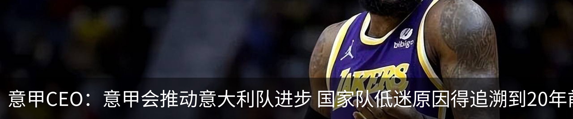 新闻动态