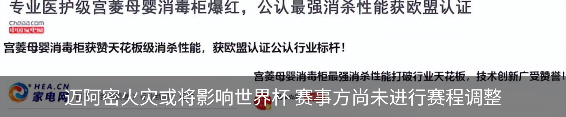 新闻动态